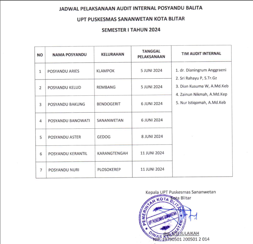 audit internal