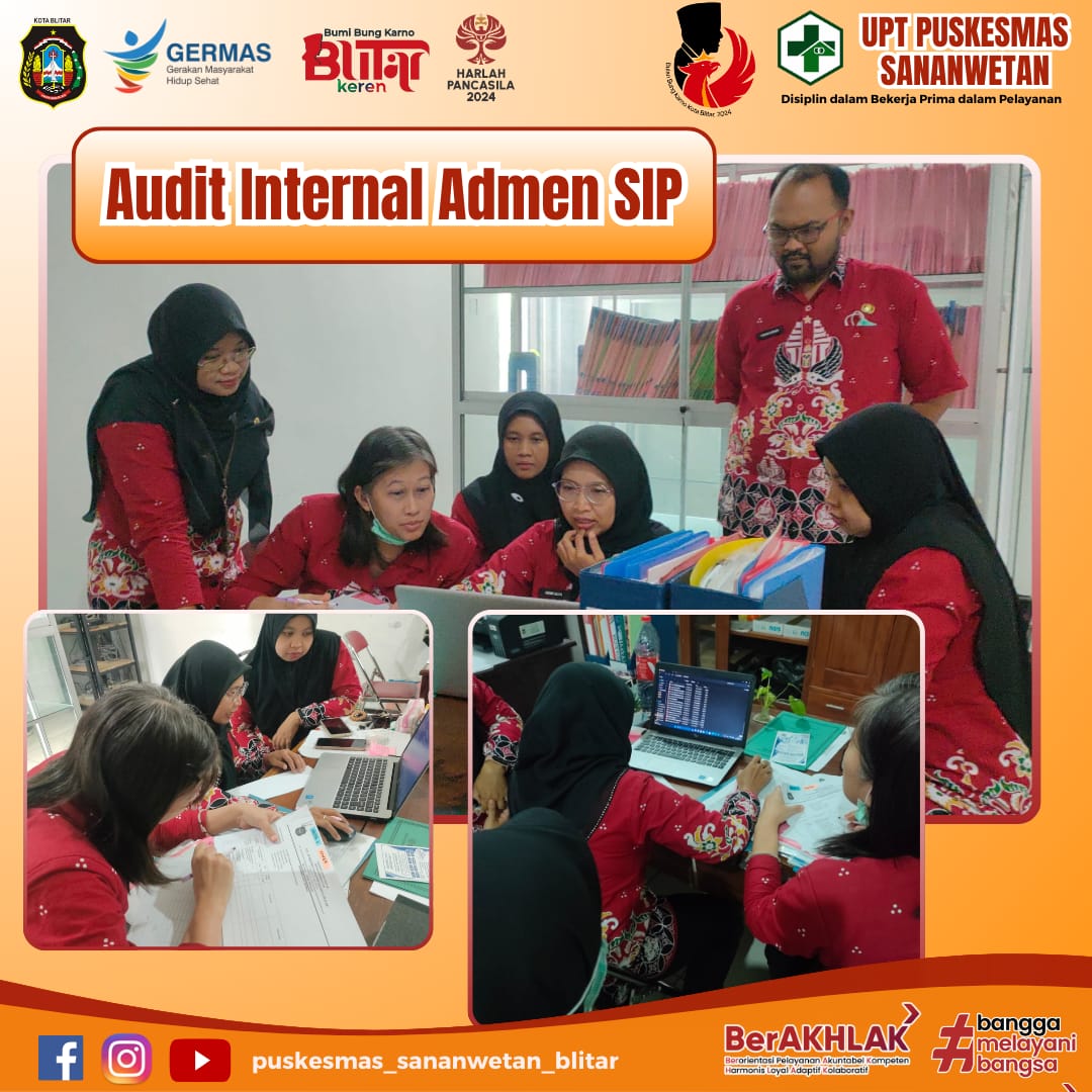 audit internal