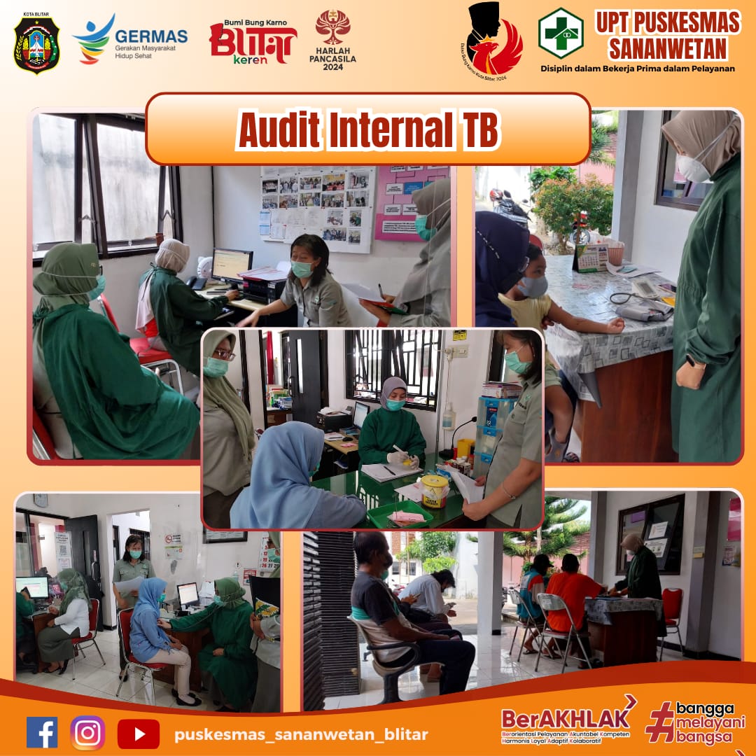 audit internal