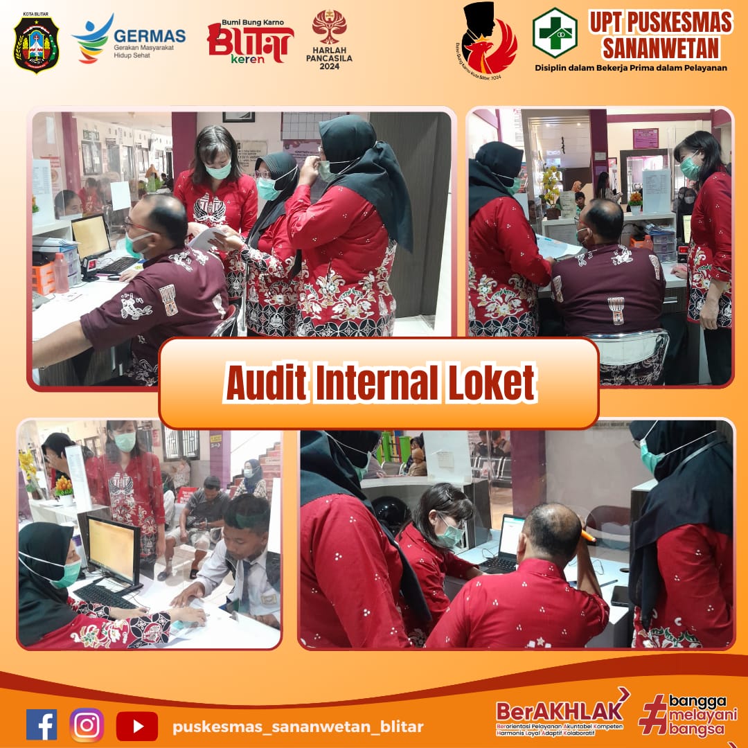 audit internal